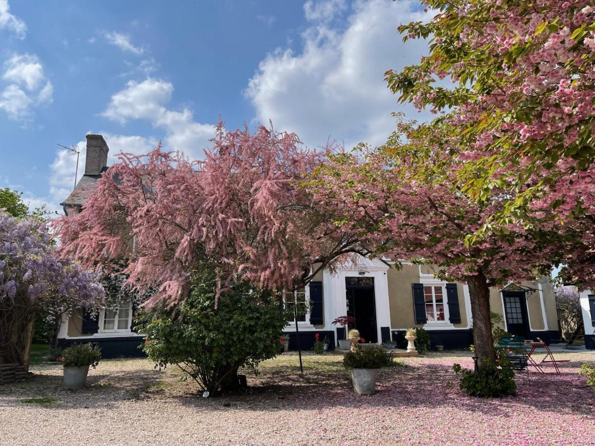 Au Presbytere De Saigneville Exteriör bild